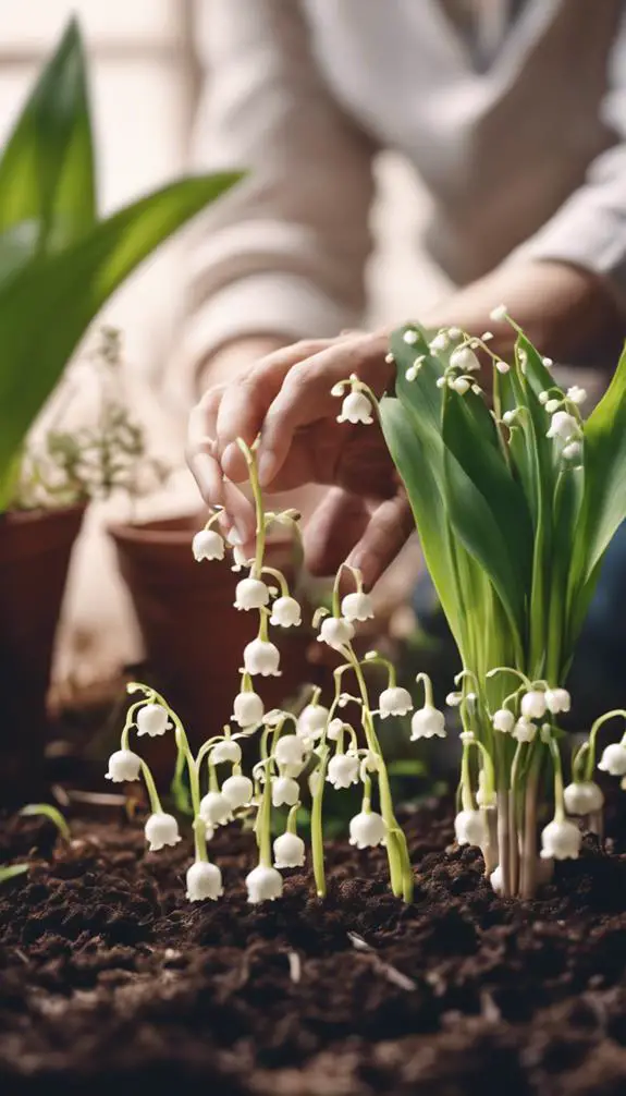 lily of the valley