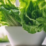 How To Grow Lettuce From Scraps